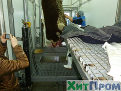 Комплекс убоя и переработки КРС до 20 голов/смена и МРС до 200 голов/смена. р. Татарстан