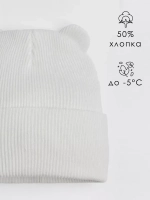 Шапка детская с ушками осенняя