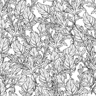 Листья Рукколы.Салат Индау.Итальянские травы и специи