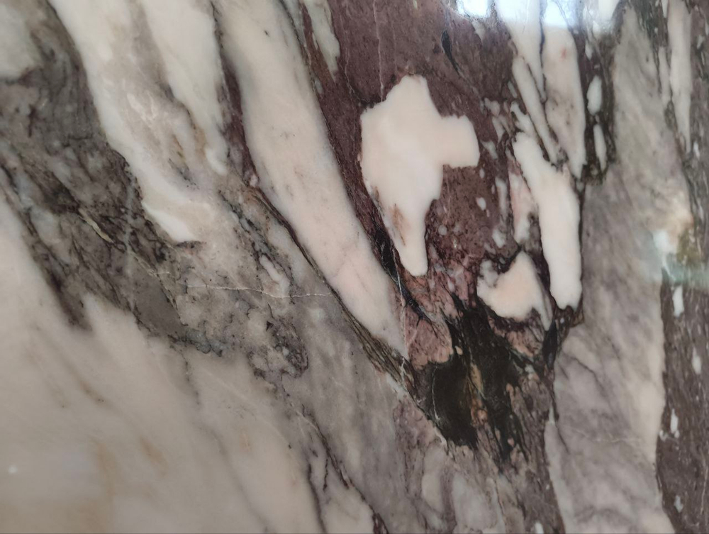 Каллаката Виола