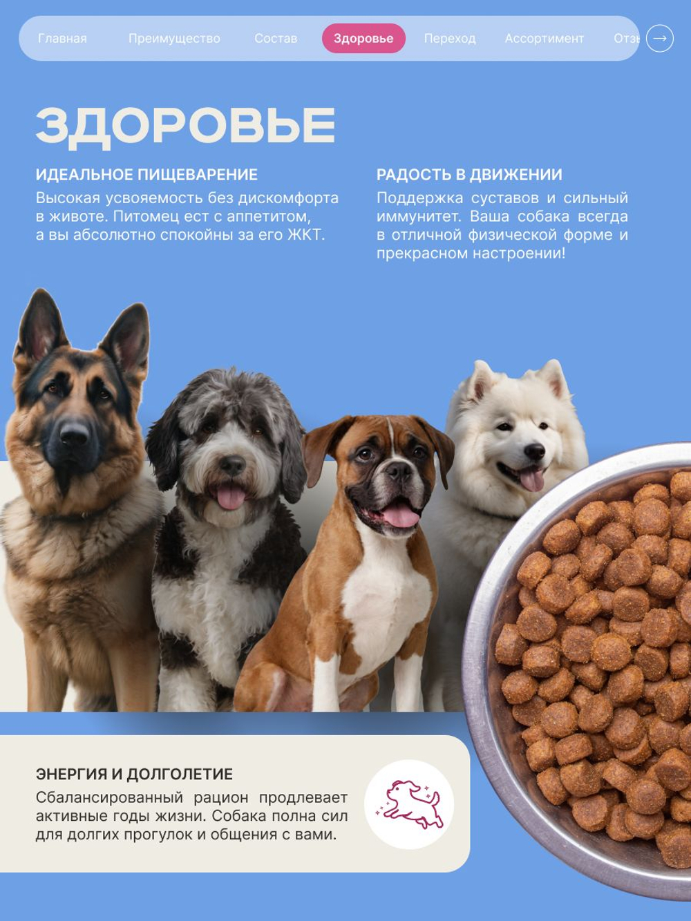 Корм сухой для взрослых собак породы Самоед, премиум полнорационный комплекс, с говядиной, 2,5 кг, QUATTRO