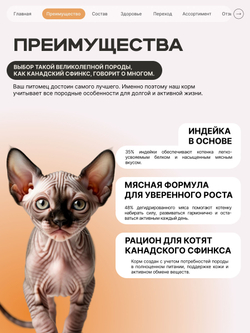 Корм сухой для котят породы Канадский сфинкс, с индейкой, 2 кг, QUATTRO