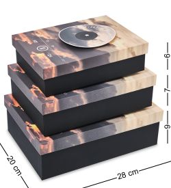 WF-169-A Набор коробок из 3 шт, желтый