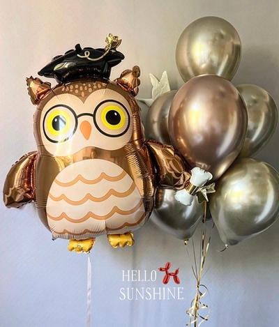 Набор шаров школьнику №7