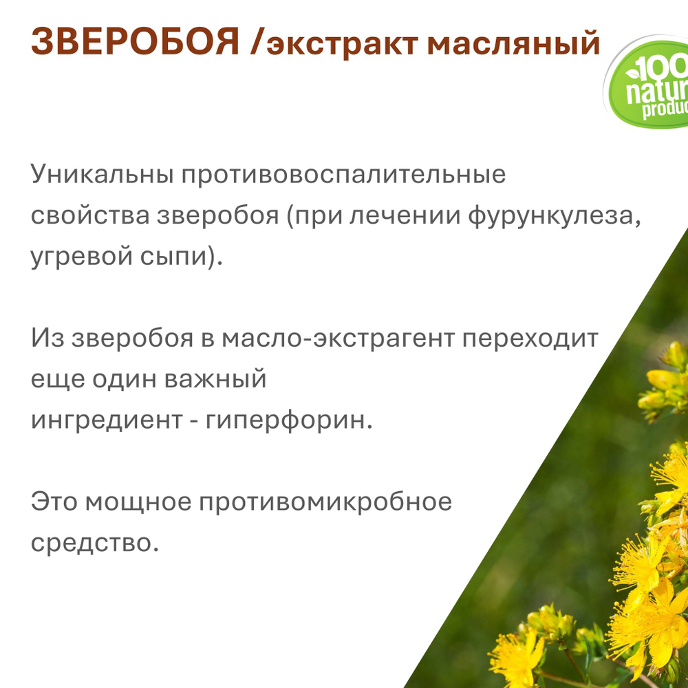 Экстракт зверобоя, масляный