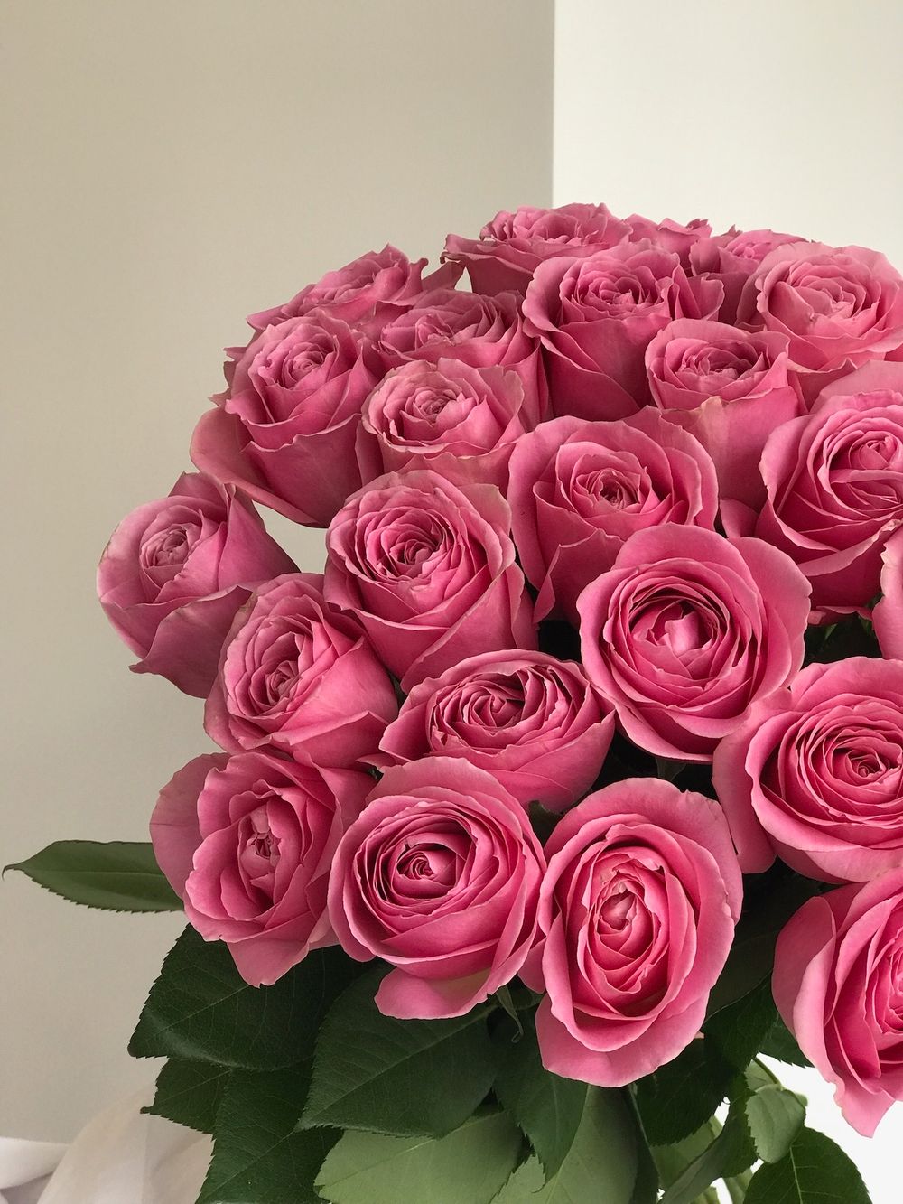 Букет из розовой розы (50см) 25 шт под ленту