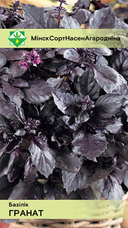Базилик "Гранат фиолетовый" 0.2г, Германия.