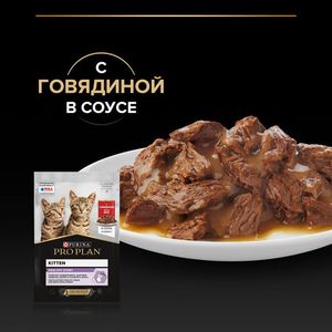 Влажный корм для котят Pro Plan кусочки в соусе с говядиной, 85гр