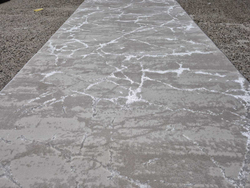 Astoria 40750A CREAM FLS \ CREAM FL Рулон