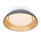 Потолочный светильник FR5277CL-L72GR Лунный свет / Moonlight 62 Вт LED с пультом ДУ Freya fr5277cl-l72gr