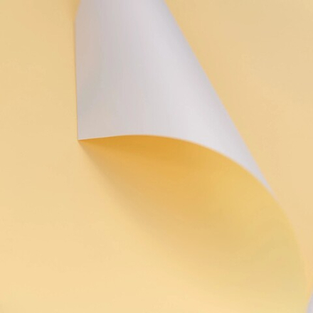 ЛИСТ с белой стороной 2-х ст 58*58/20шт