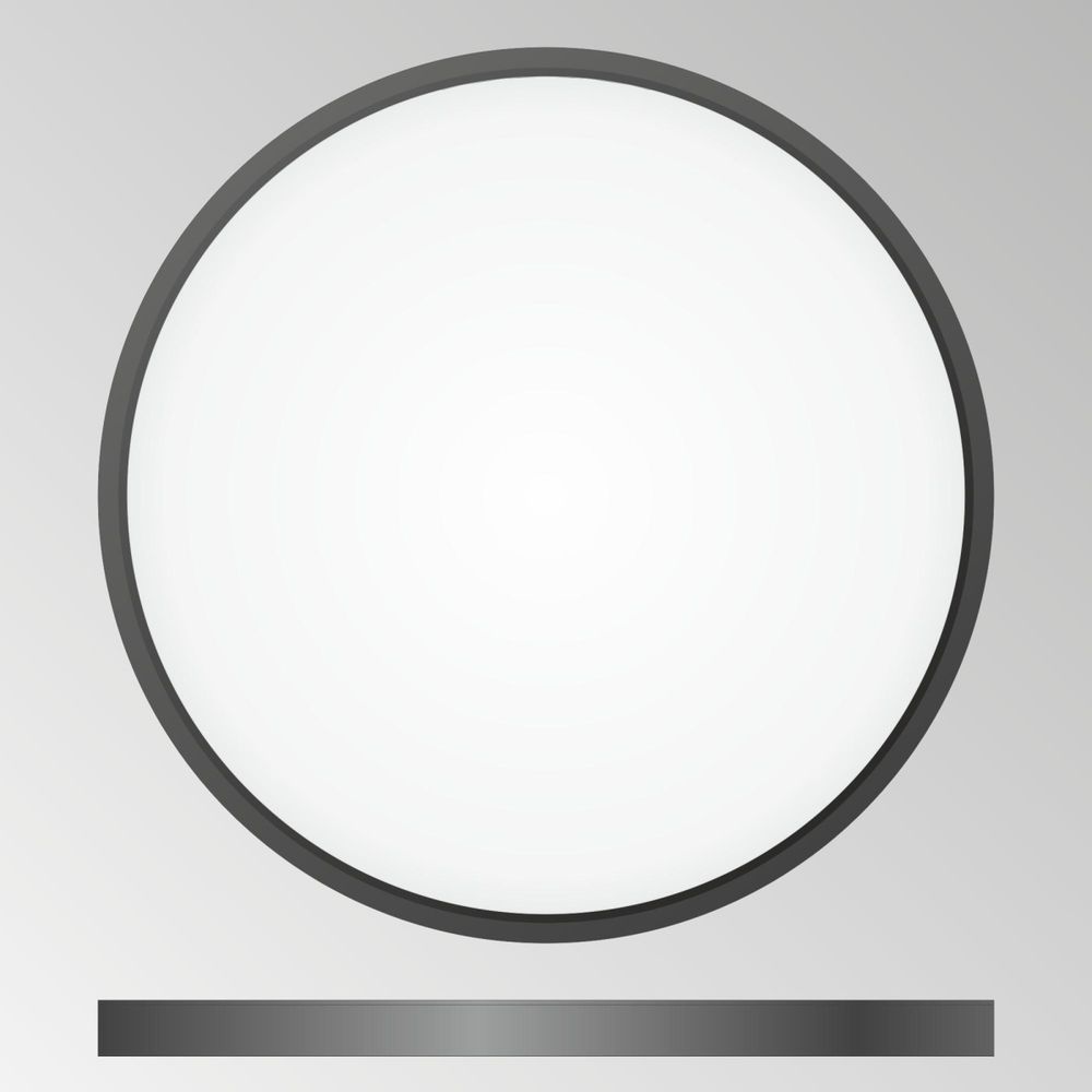 Citilux Бейсик CL738321V Светильник накладной Чёрный