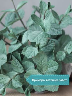 Молд силиконовый для лепки "лист Ежевики" / форма для оттиска листьев гортензии, малины, мяты)