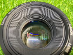 Canon EF 50 mm 1.4 USM Покупка/Продажа