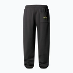 Штаны The North Face Expedition Celebration Relaxed Jogger Reg серые