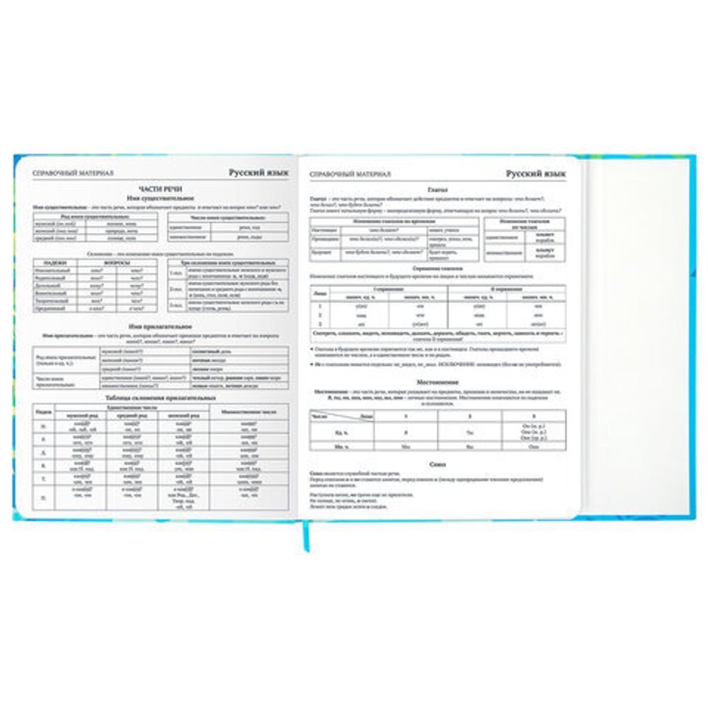 Дневник 1-11 класс 48 л., твердый, BRAUBERG, матовая ламинация, магнитный клапан, закладка-ляссе, с подсказом, "Котик", 107244
