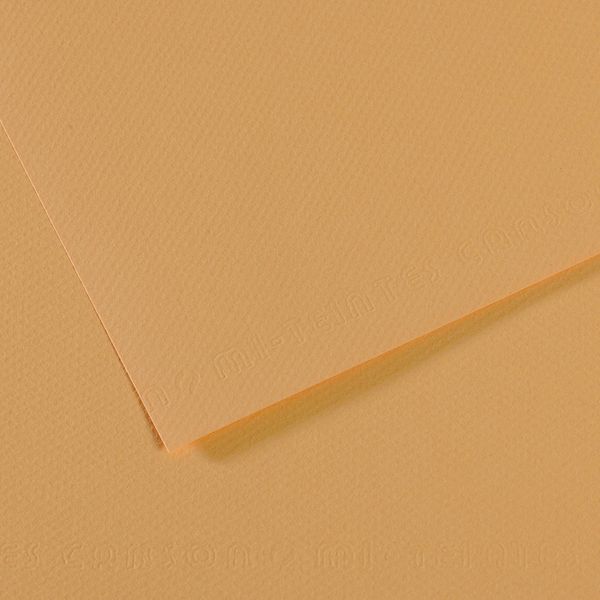 Бумага для пастели Mi-Teintes 160 г/м², 75х110 см, 10 л, №340 Бежевый светлый, Canson, C31032S144