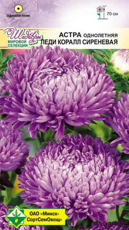 Астра "Леди Коралл Сиреневая" 0,1г., Германия.