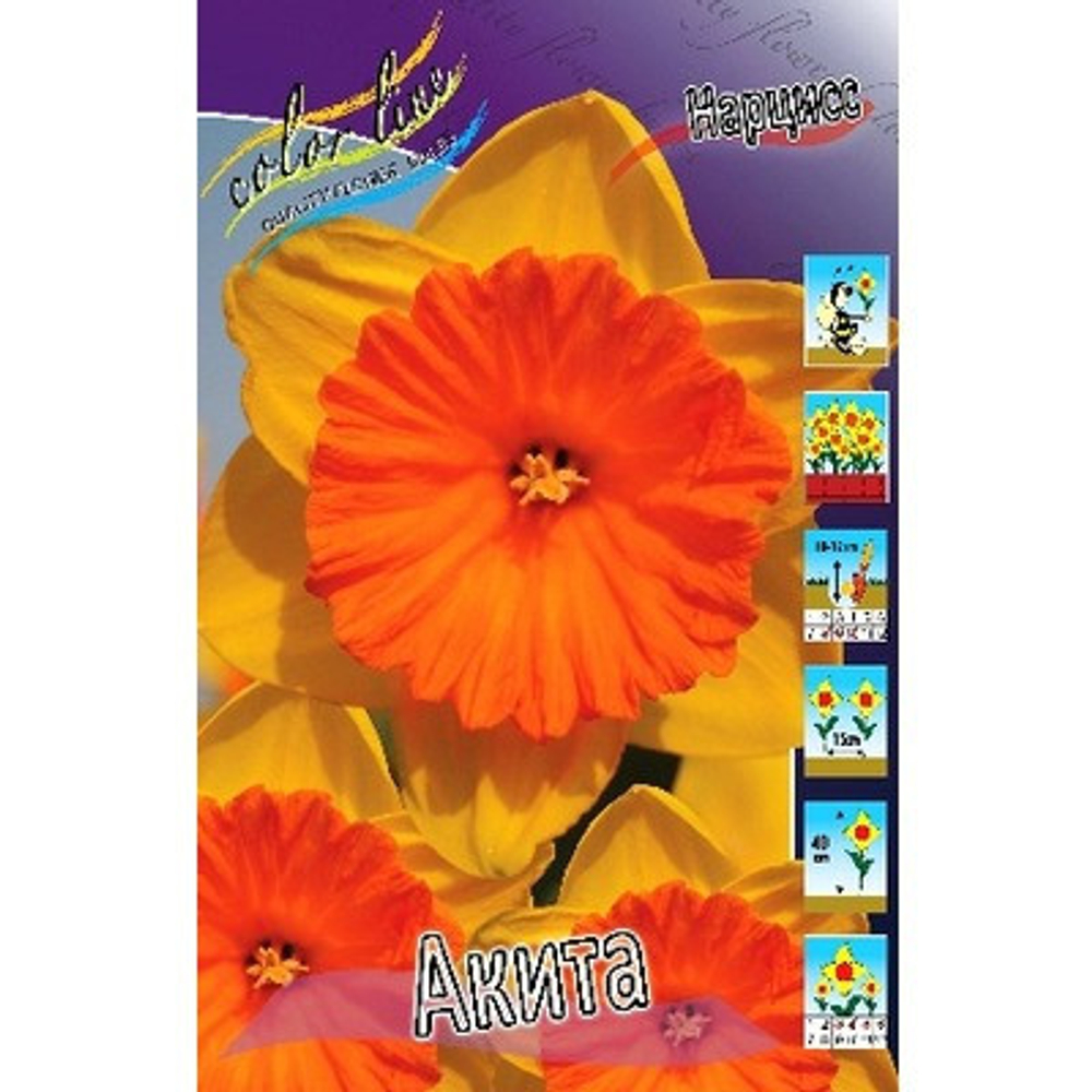 Нарцисс Акита