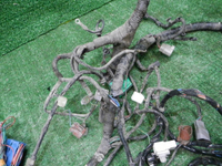 DSCN2294.JPG