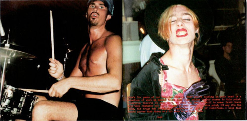 Red Hot Chili Peppers. Greatest Hits (CD)