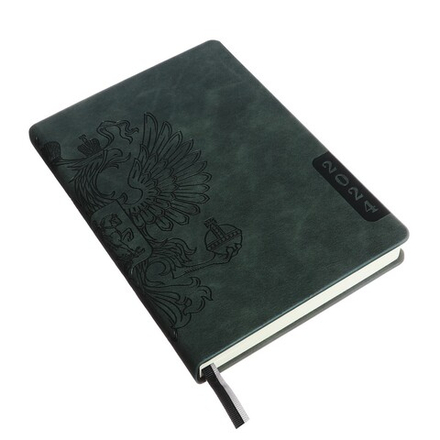 63759 Ежедневник датир. 2024г. ESCALADA