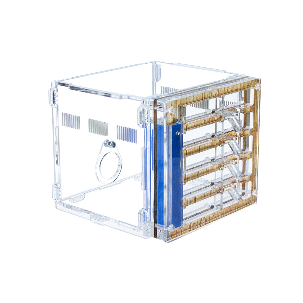 Муравьиная ферма СОТОЧКА 3.0