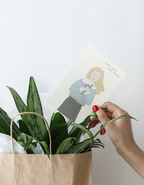 Аглаонема в бетонном кашпо