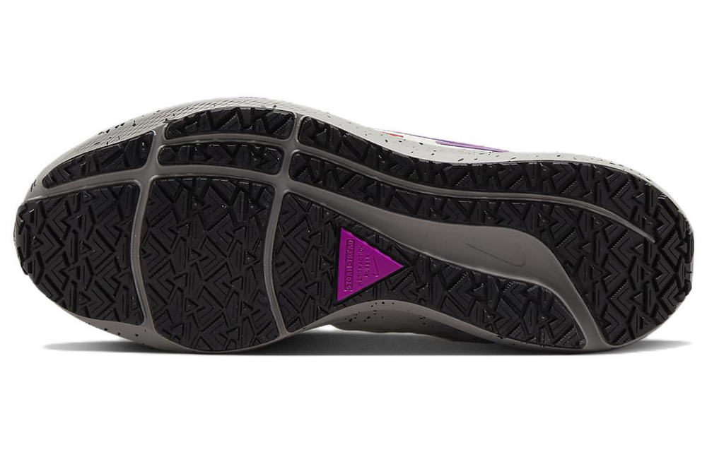 Кроссовки Nike Air Zoom Pegasus 39 Shield (Женская размерная сетка)