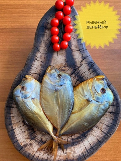 Вомер х.к 300-500