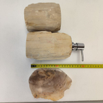 Набор из окаменелого дерева 4 предм Fossil Set NF-63068 поднос 27см*38см