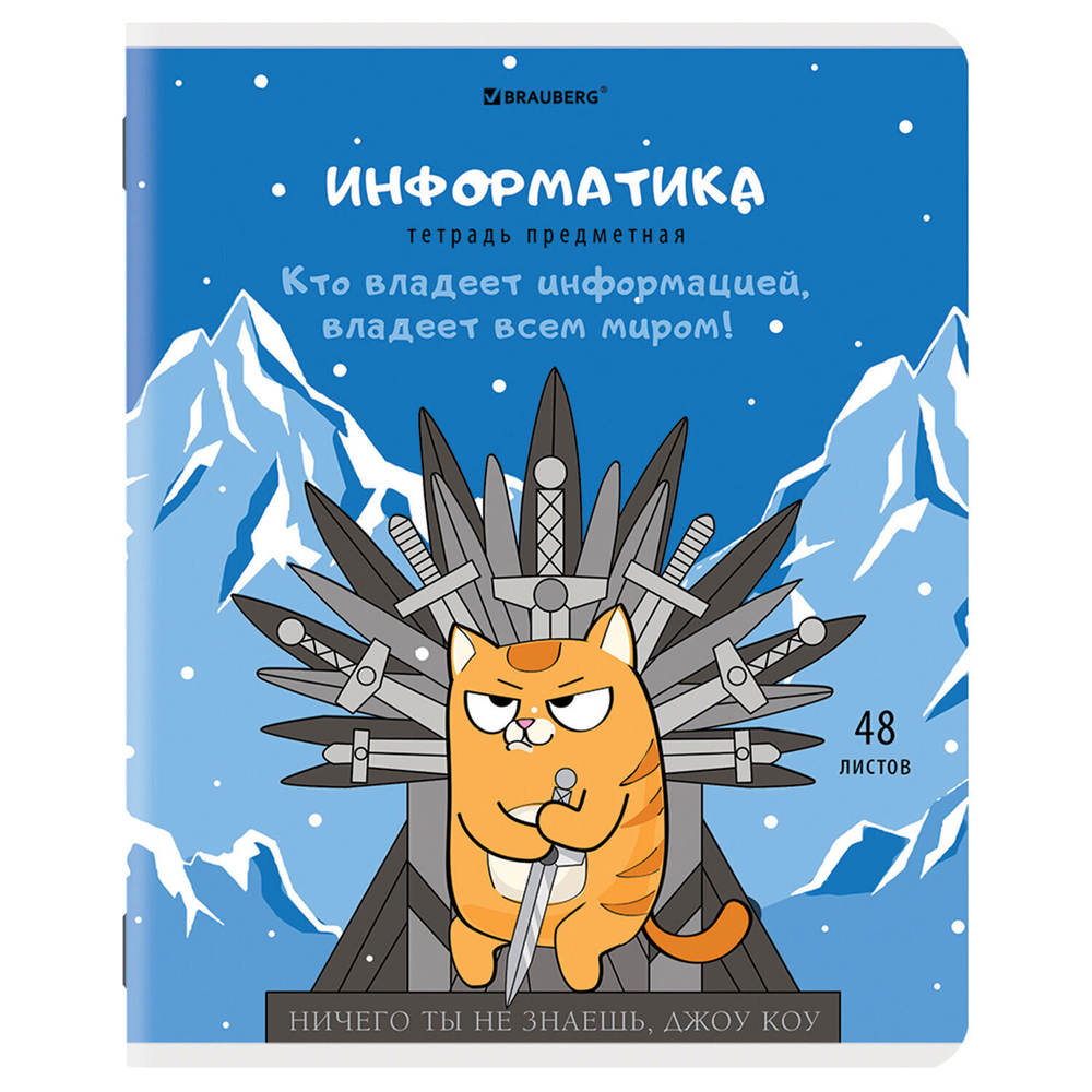 Тетради предметные комплект 12 ПРЕДМЕТОВ 48 л. TWIN-лак BRAUBERG "КОТ-ЭНТУЗИАСТ" (2 штуки в упаковке)