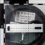 Citilux Гессен CL536165 Люстра подвесная поворотная Венге