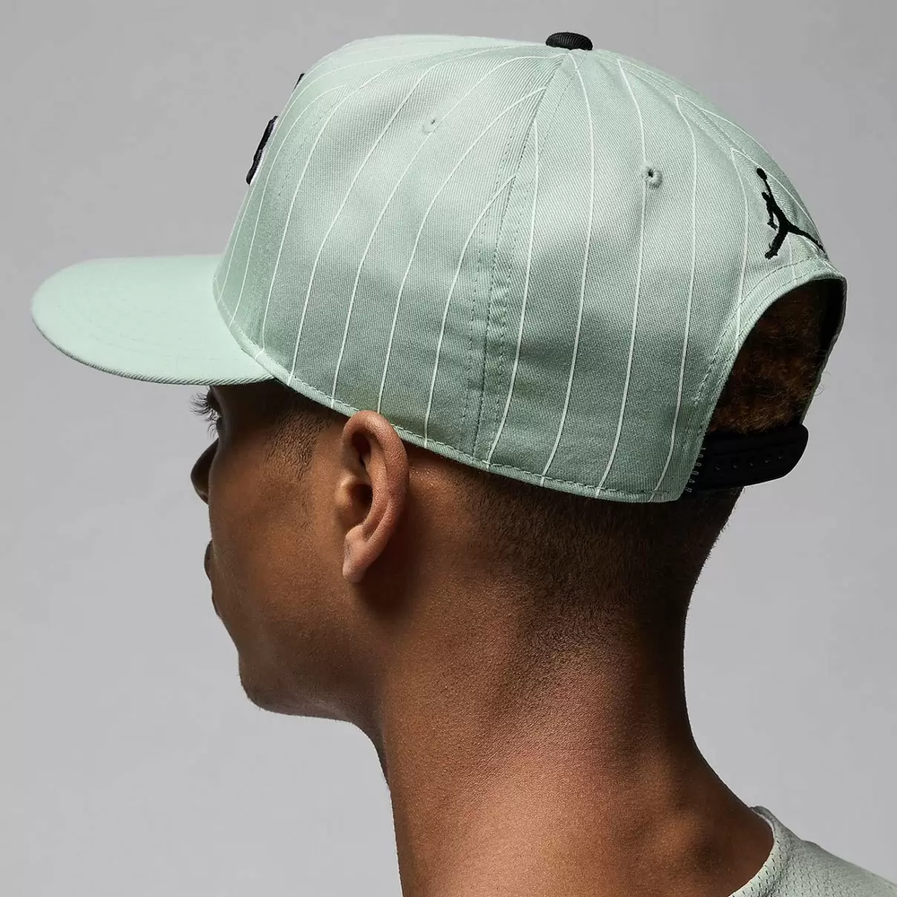 FV5299-005 Кепка Jordan U J PRO CAP S FB FLT MVP