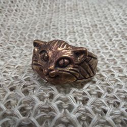 Кольцо. Кот-Васька