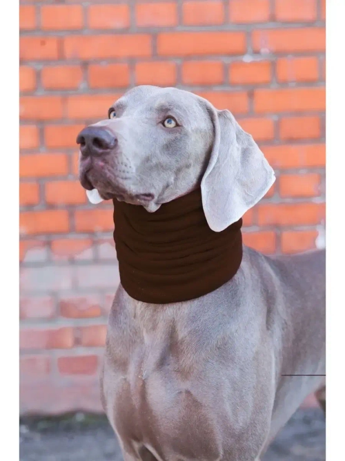 Шапка снуды для собак