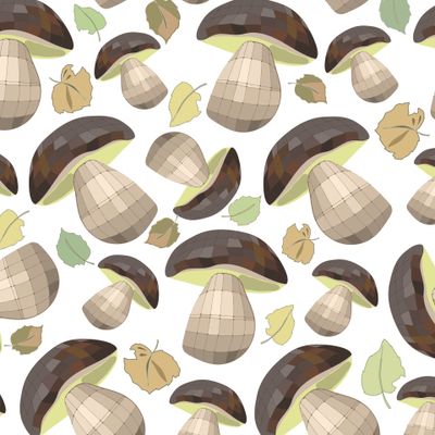 Белые грибы White mushrooms