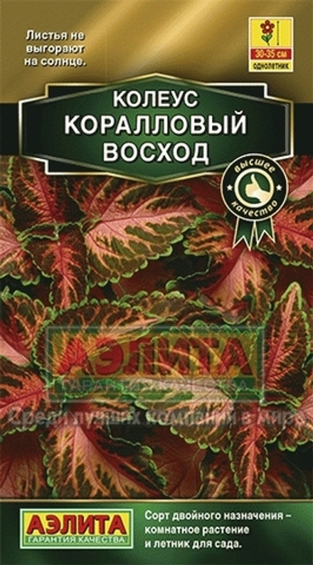 Колеус Коралловый восход блюме 5шт Аэлита