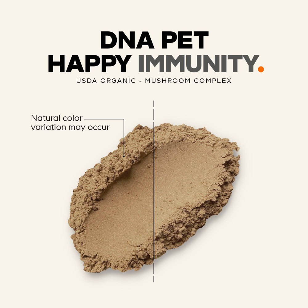 Codeage, ДНК Pet, Happy Immunity, органическая смесь грибов, для собак, 101 г (3,5 унции)