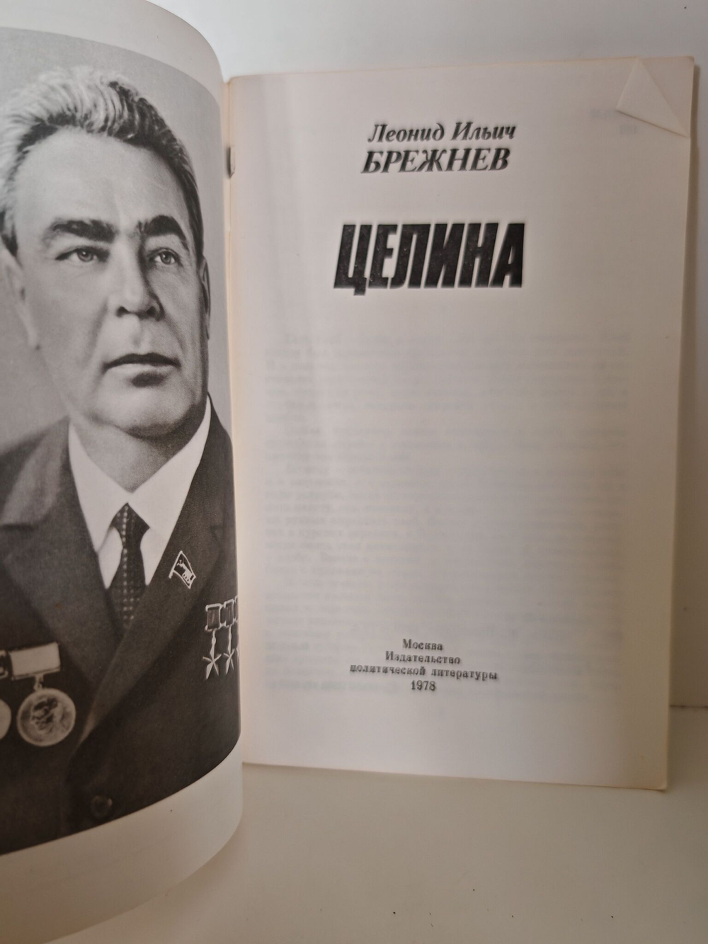 Целина