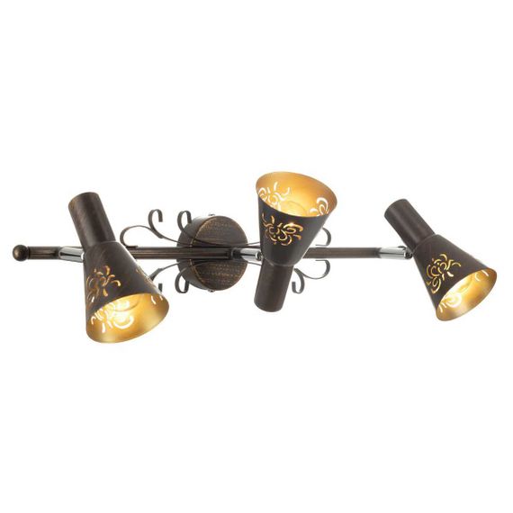 Спот Citilux Дункан CL529531