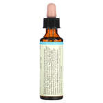 Bach, Original Flower Remedies, бук, 20 мл (0,7 жидк. унц.)