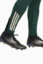 Штаны adidas Juventus FC 25/26 Competition Training - зеленый