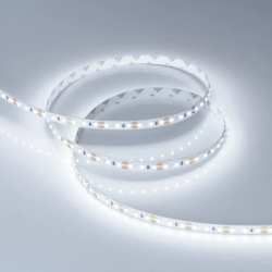 Светодиодная лента RT-A120-8mm 12V Cool 8K (14.4 W/m, IP20, 2835, 5m) (Arlight, Открытый) 028568(2)