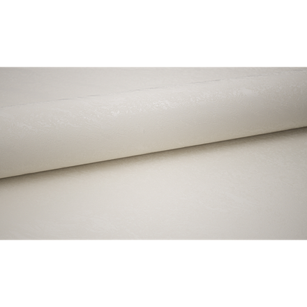 Венеция Тревиньяно