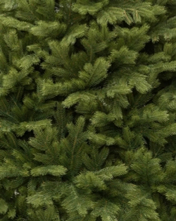 Искусственная елка Эрмитажная 150 см., 100% литая хвоя, ЕлкиТорг (94150)