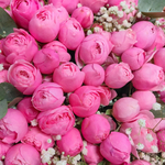 Букет-гигант из 101 кустовой пионовидной розочки сорта "Силва Пинк"