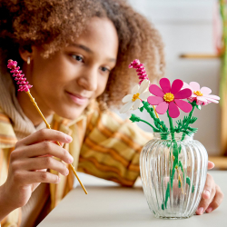 Конструктор LEGO Botanicals 11514 Космос — фото 9