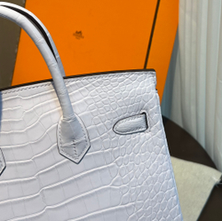 Hermes Birkin 25