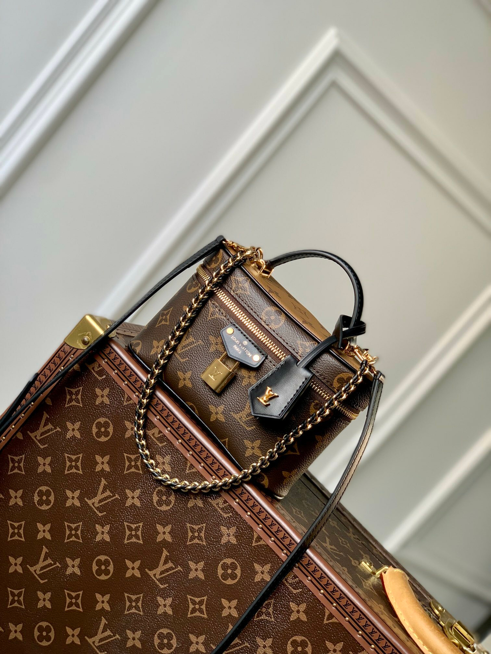 Louis Vuitton Vanity Chain Pouch